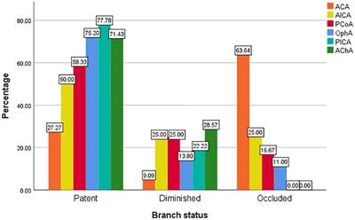 Patency of Branch Vessels After Pipeline Embolization: Comparison of Various Branches